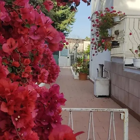 Garden Da Virna 2 *
