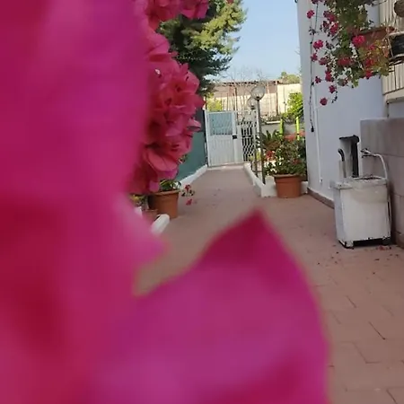 Garden Da Virna 2 托雷安农齐亚塔