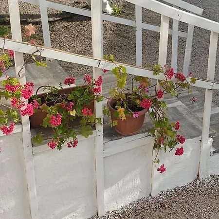 Garden Da Virna 2 Apartment